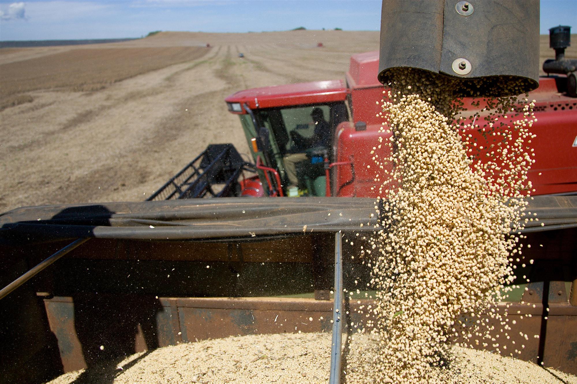 Self Photos / Files - soybean-harvesting-machines-at-work-1-1374331