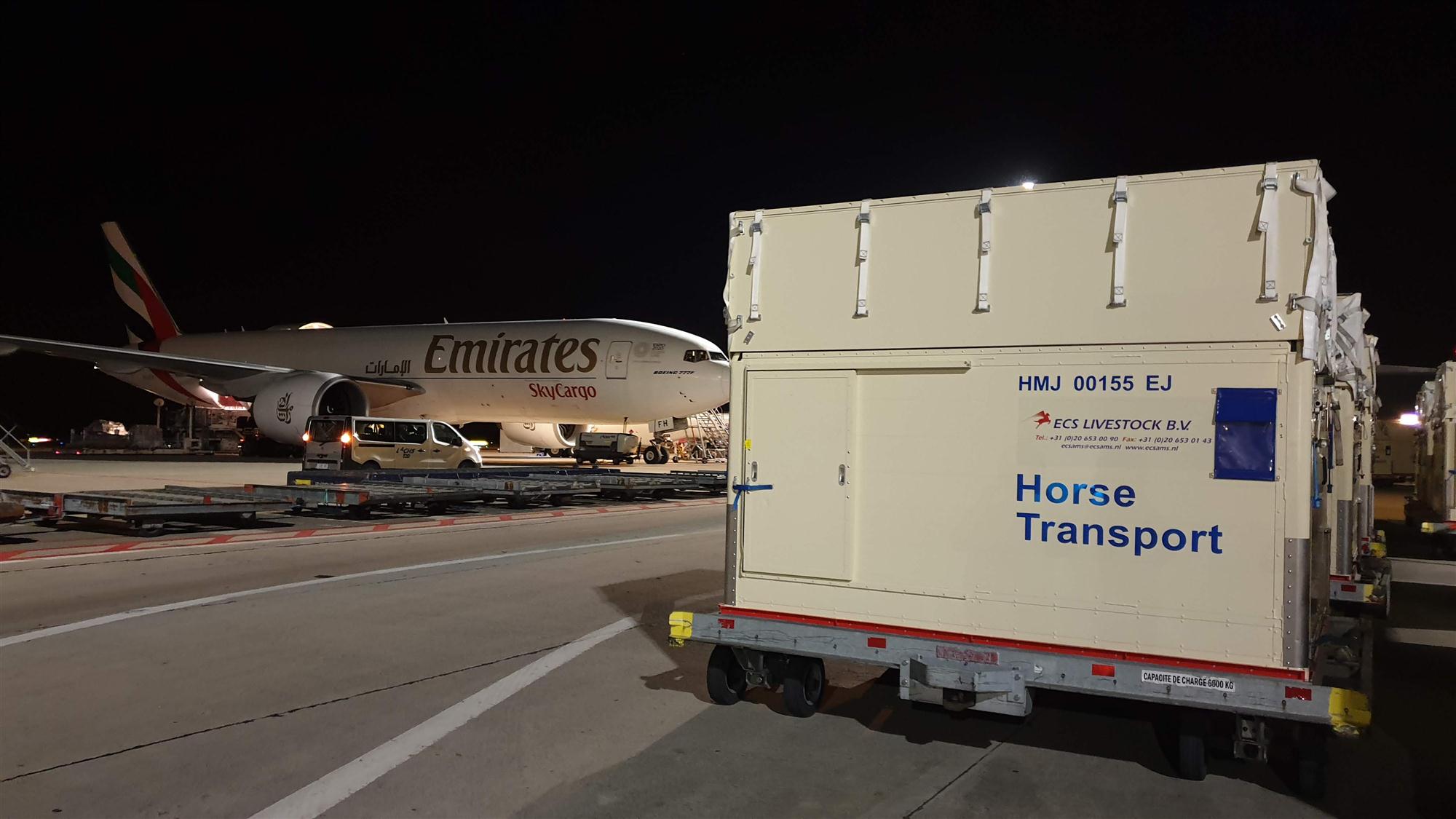 Self Photos / Files - More than 100 champion horses experience Emirates Equine on their journey to Shanghai