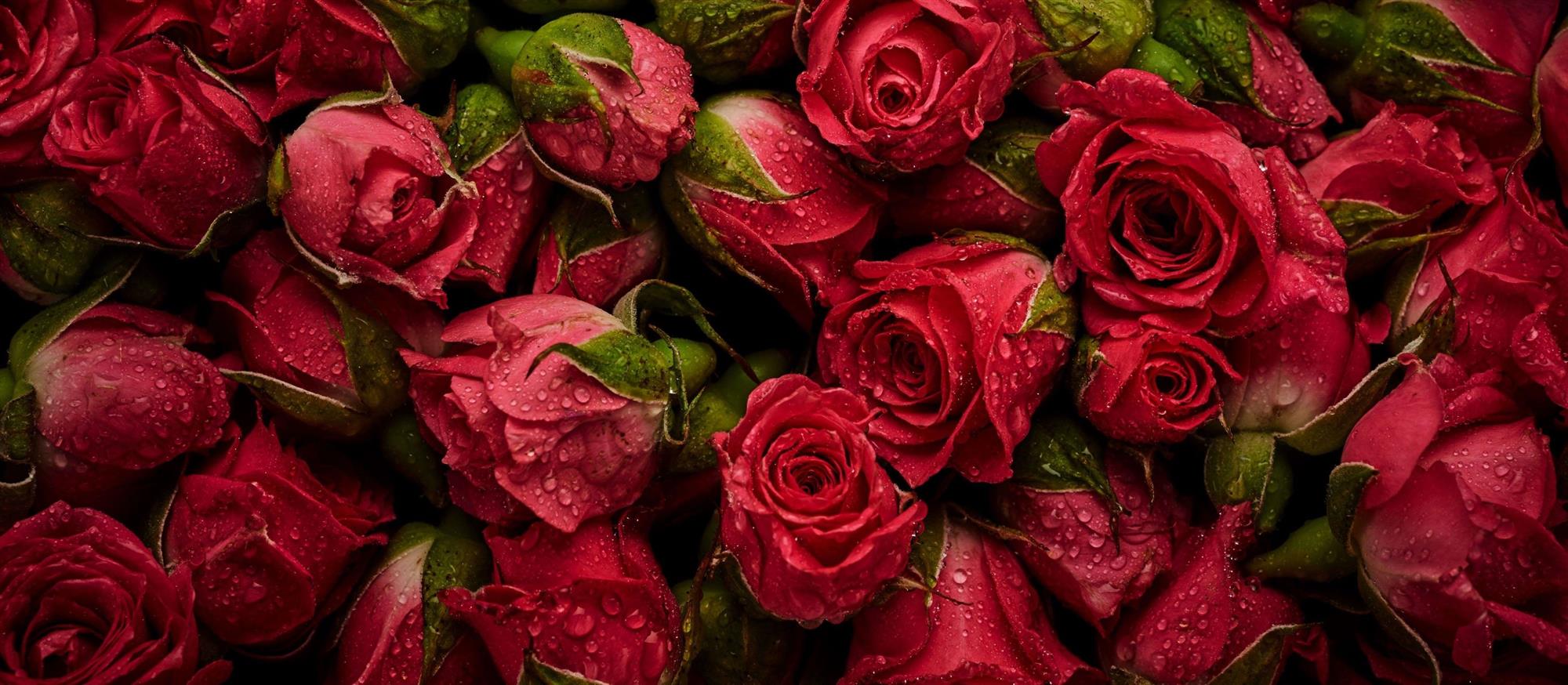 Self Photos / Files - Qatar Airways Cargo - Valentine's Day 21 - Flowers