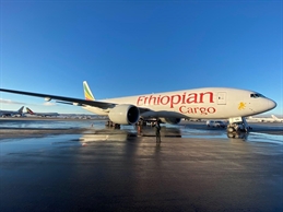 Ethiopian Cargo Aircraft - ANC (002)