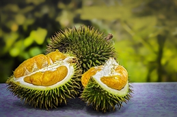 durian-3597242