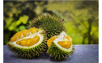 durian-3597242