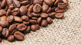 MSC-to-attend-Africa-Fine-Coffee-Conference-2020