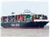 YangMingboxshipcontainershipYMWorthleavesport-stock-creditshutterstock_432184228-1