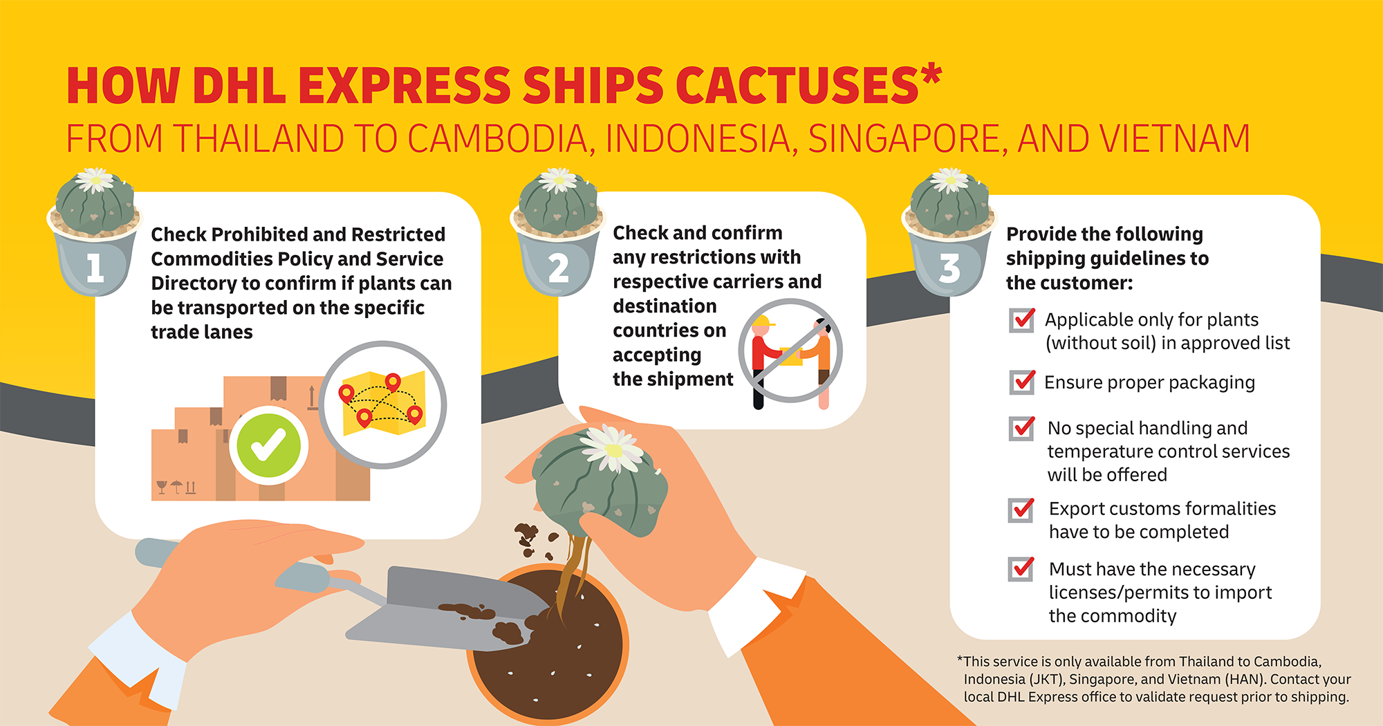 Self Photos / Files - Infographic - How-DHL-Express-ships-cactuses