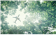 web_plane_enviromental_iStock-1090204598-2