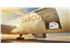 etihad-cargo-hope