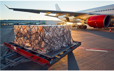IATA Air Cargo