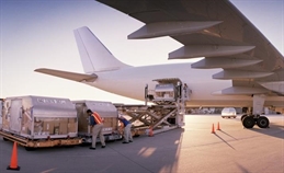 what-types-of-cargo-are-transported-by-air