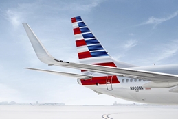Aircraft-Exterior-AA-737-Livery-Right-Tail