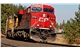 canadian-pacific-train-trees_0