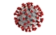 Optimized-coronavirus-3992933