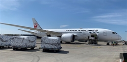 Japan Airlines cargo loading
