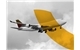 interline-cargo-management